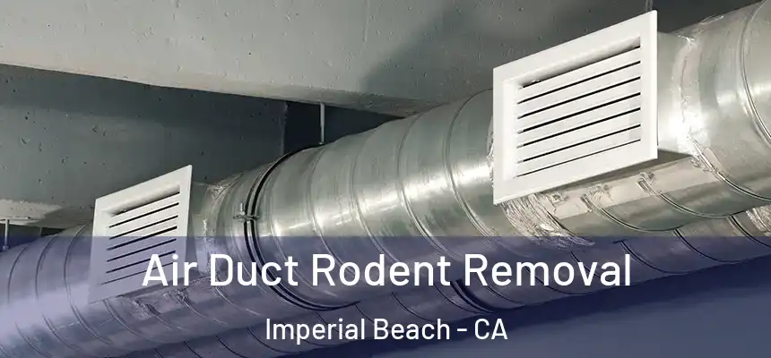 Air Duct Rodent Removal Imperial Beach - CA
