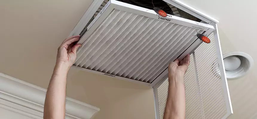 Preventive Cockroach-Proofing for Ducts in Imperial Beach
