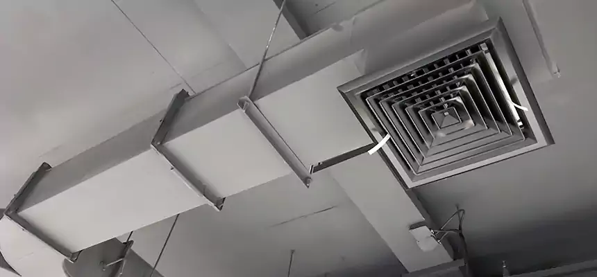 Restorative Allergy Relief Vent Cleaning – Coil, Blower & Housing Detail in Imperial Beach