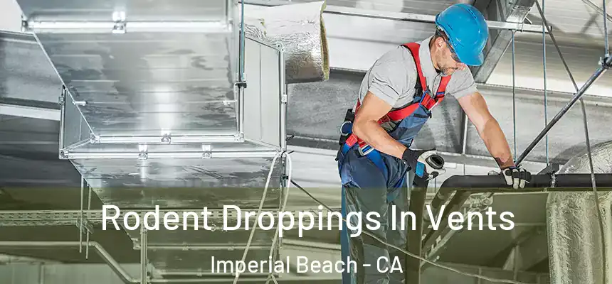 Rodent Droppings In Vents Imperial Beach - CA