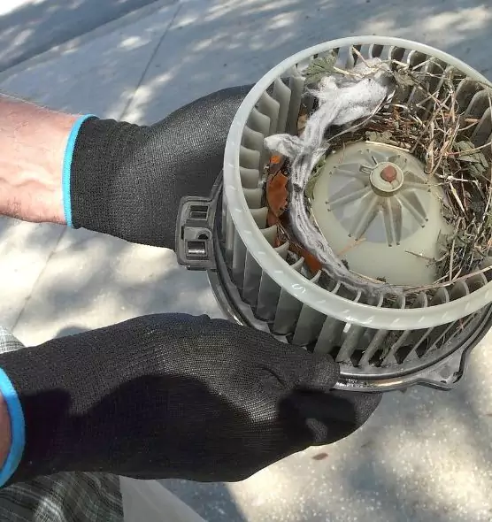 About Air Duct Mice Removal in Imperial Beach, CA