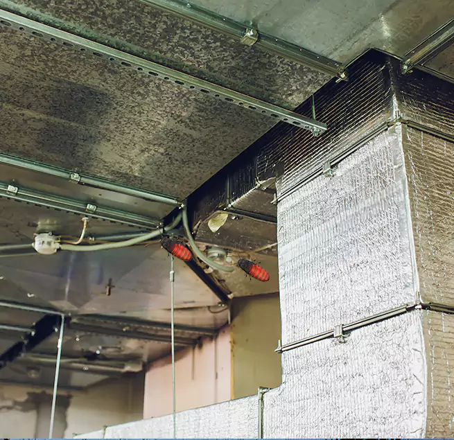 Why Homeowners & Businesses Trust Us Imperial Beach, CA?